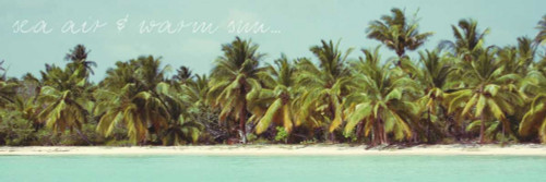 Palms Galore I Poster Print by Acosta - Item # VARPDX10474E