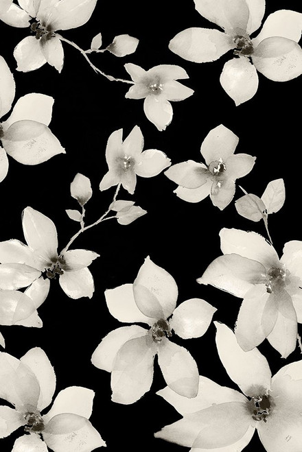 Night Whispers Poster Print by Lanie Loreth - Item # VARPDX12934M