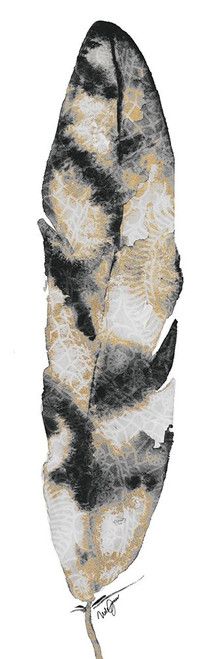 Black and Gold Feather Poster Print by Nola James - Item # VARPDX11603YY
