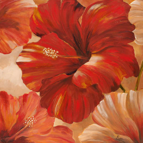 Sunlit Bloom II Poster Print by Nan - Item # VARPDX12745