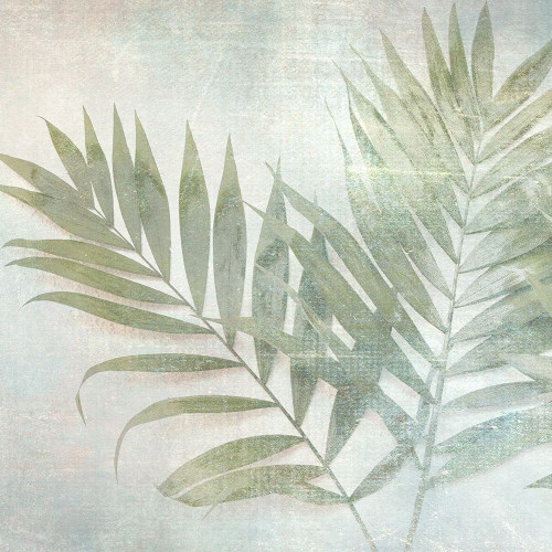 Soft Leaves III Poster Print by Irene Weisz - Item # VARPDX40142