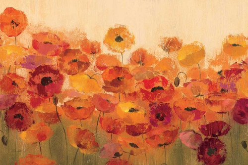 Summer Poppies Poster Print by Silvia Vassileva - Item # VARPDX10616