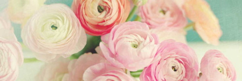 Blushing Blossoms Panel Poster Print by Sarah Gardner - Item # VARPDX10127A