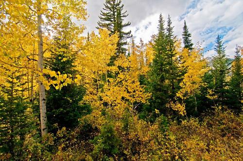 Natures Hidden Treasures II Poster Print by Bruce Nawrocke - Item # VARPDX13255K