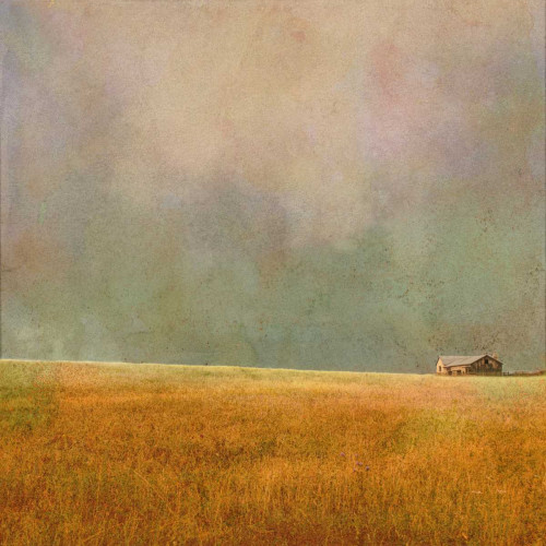 After the Rain Poster Print by Ynon Mabat - Item # VARPDX10642