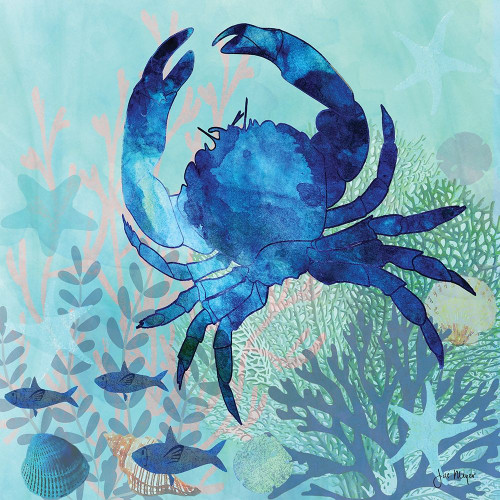 Coral Reef IV Poster Print by Jill Meyer - Item # VARPDXMEY037