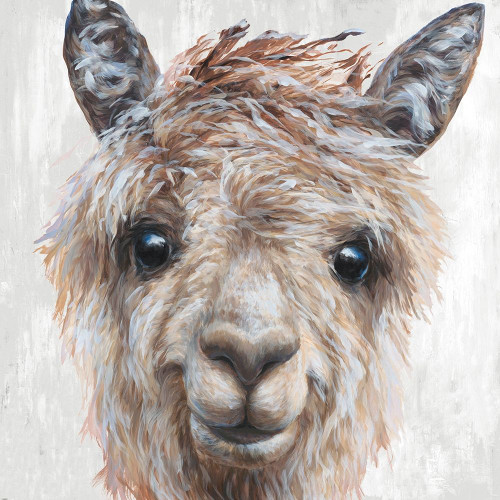 Alpaca II Poster Print by Dina Perejogina - Item # VARPDXDH027A