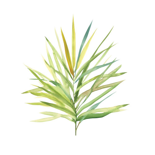Tropical Botanical I Poster Print by Carol Robinson - Item # VARPDX40439