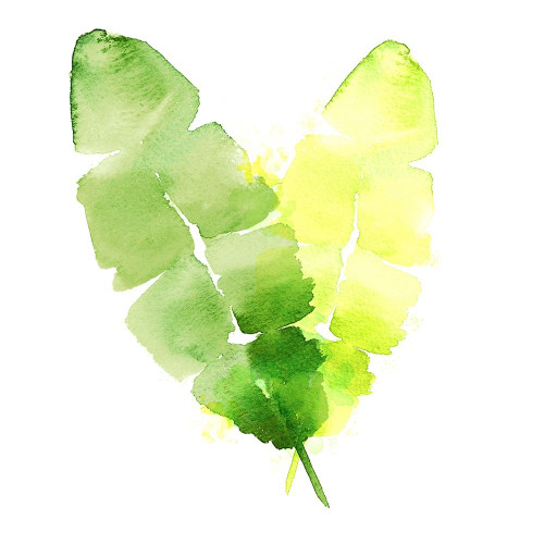 Tropical Icons Banana Leaf Poster Print by Northern Lights - Item # VARPDXRB12779NL