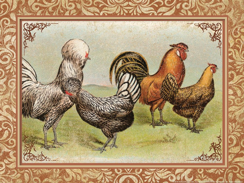 Chicken 3 Poster Print by Inc. Nobleworks - Item # VARPDXNOB16