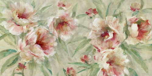 Peony Pleasure Poster Print by Carol Robinson - Item # VARPDX40464