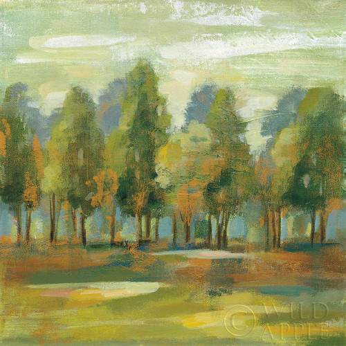 Forest I Poster Print by Silvia Vassileva - Item # VARPDX42188