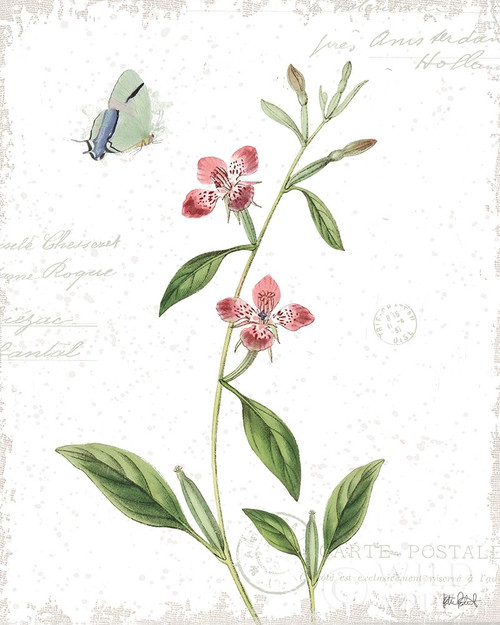 Spring Fields II Poster Print by Katie Pertiet - Item # VARPDX42131