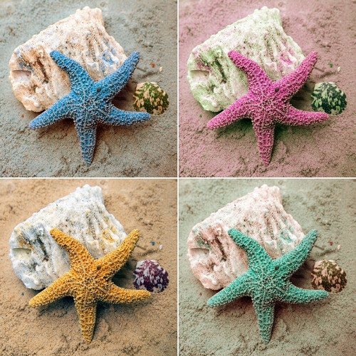 Colorful Starfish Poster Print by Kathy Mansfield - Item # VARPDX10759N
