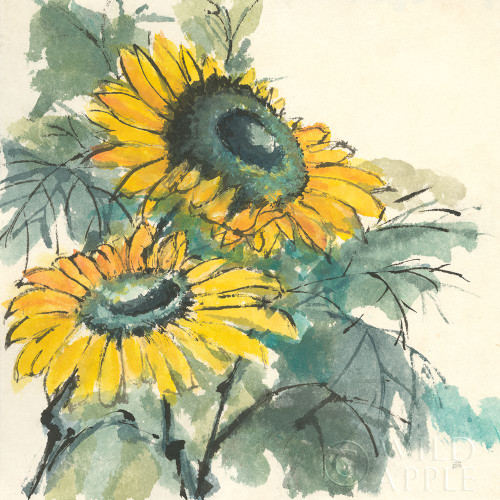 Sunflower I Poster Print by Chris Paschke - Item # VARPDX44520