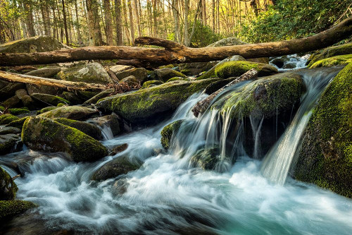 Sticks and Stones Poster Print by Andy Amos - Item # VARPDX13531D