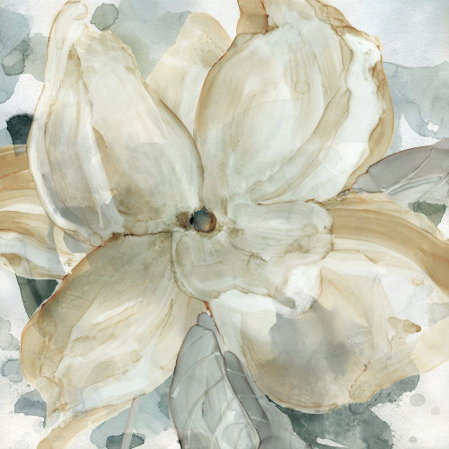 Belle Bloom Poster Print by Carol Robinson - Item # VARPDX18627