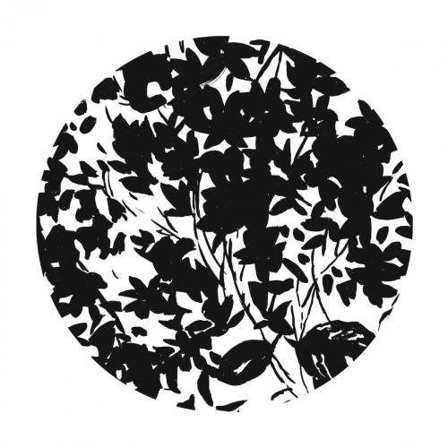 Medallion II Poster Print by PI Studio - Item # VARPDXPG493A