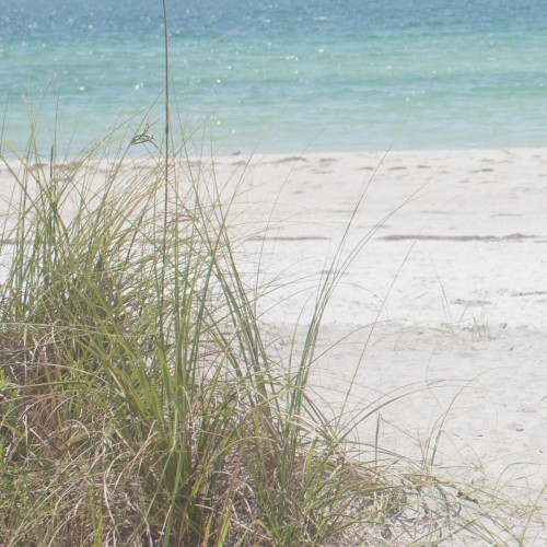 Ocean Air I Poster Print by Susan Bryant - Item # VARPDX10259G