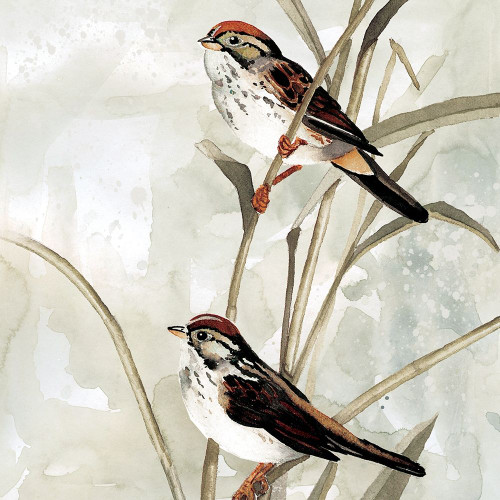 Neutral Spring Poster Print by Carol Robinson - Item # VARPDX19482