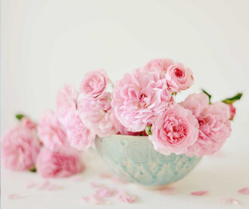 Petals and Porcelain Poster Print by Sarah Gardner - Item # VARPDX11440