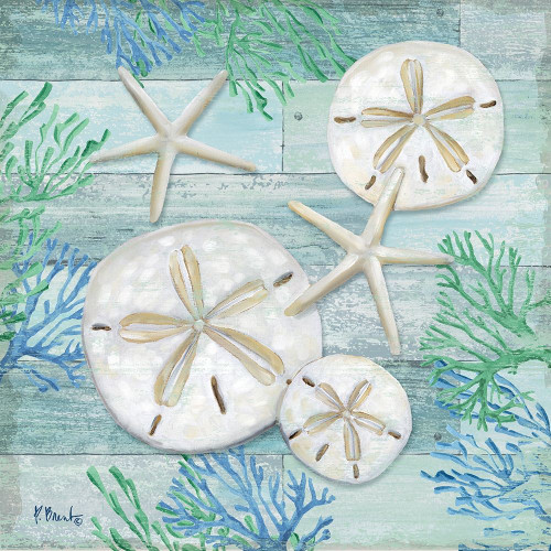 Clearwater Shells I Poster Print by Paul Brent - Item # VARPDXBNT1339