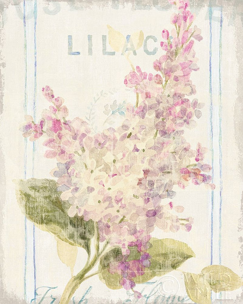 Floursack Florals V Poster Print by Danhui Nai - Item # VARPDX38758
