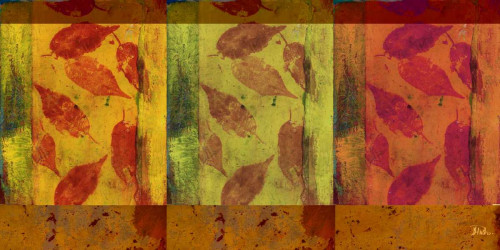 Organic Feast I Poster Print by Patricia Pinto - Item # VARPDX10491