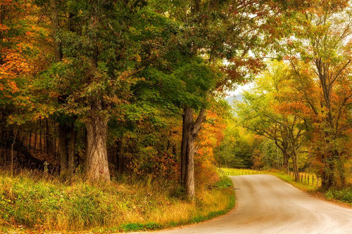 Autumns First Day Poster Print by Andy Amos - Item # VARPDX13530L