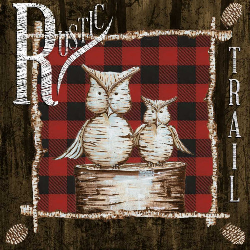 Rustic Birch Trail III Poster Print by Gina Ritter - Item # VARPDX10266A