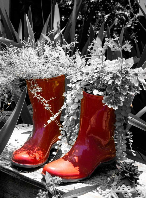 Rain Boots Border Poster Print by Emily Navas - Item # VARPDX10542H