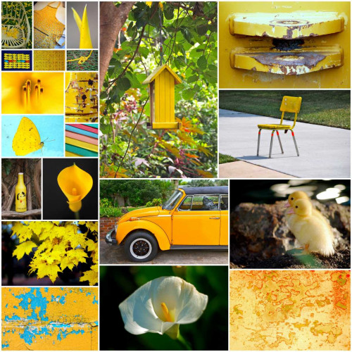 Hello Sunshine Collage Poster Print by Gail Peck - Item # VARPDX11105P