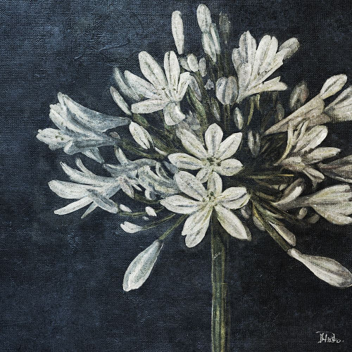 Midnight Lilies Poster Print by Patricia Pinto - Item # VARPDX8852AJ