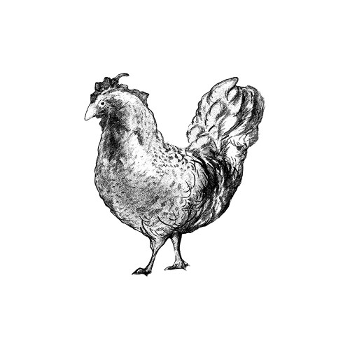 Barnyard Coop I Poster Print by Diannart - Item # VARPDX12865