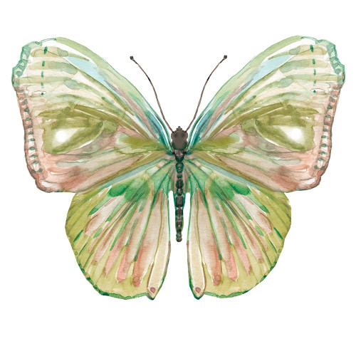 Soft Wings II Poster Print by Carol Robinson - Item # VARPDX40093