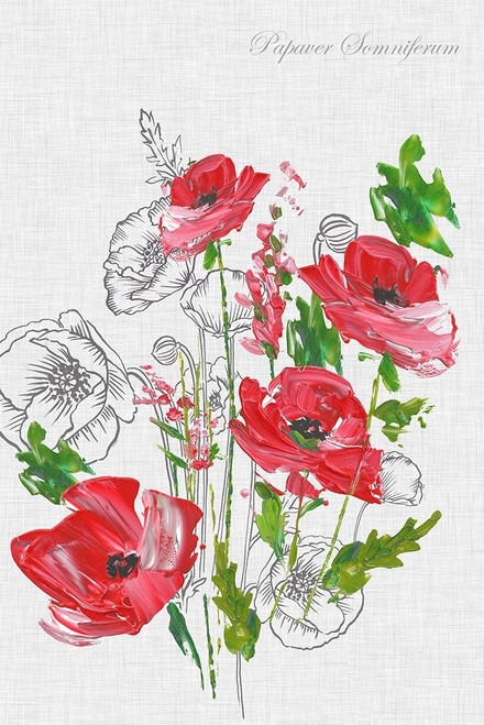 Botanical Poppies Poster Print by Eva Watts - Item # VARPDXEW145A