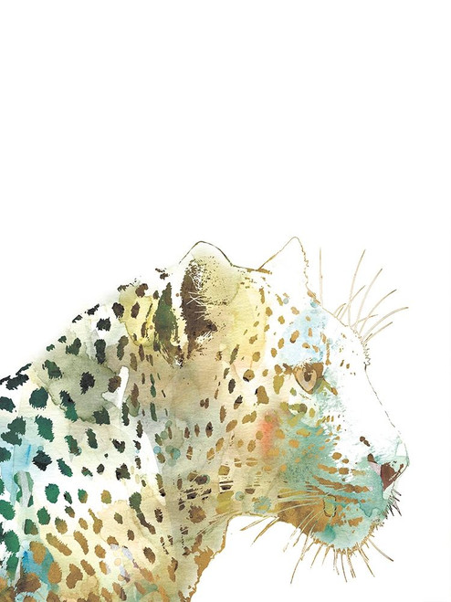 African Colors Poster Print by Carol Robinson - Item # VARPDX40017