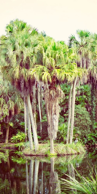 Silent Stream Poster Print by Anna Coppel - Item # VARPDX11537N