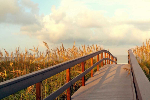 Sunset Pathway Poster Print by Gail Peck - Item # VARPDX11105G