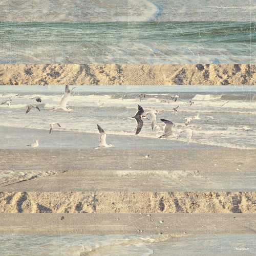 Flying Beach Birds II Poster Print by Dan Meneely - Item # VARPDX12071B