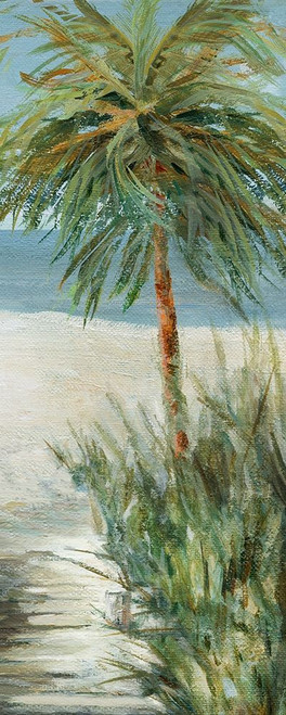 Beach Walk II Poster Print by Carol Robinson - Item # VARPDX40555