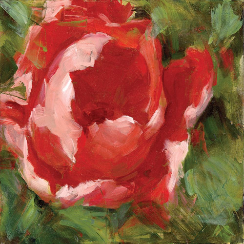 Tulip Poster Print by Annie Salness - Item # VARPDXSAL101