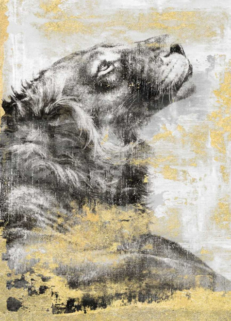 Majesty Poster Print by Dina Peregojina - Item # VARPDXDH011A