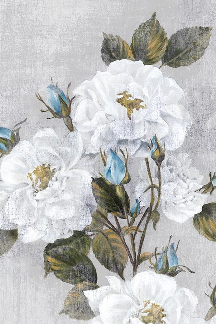 Graceful I Poster Print by Eva Watts - Item # VARPDXEW207A