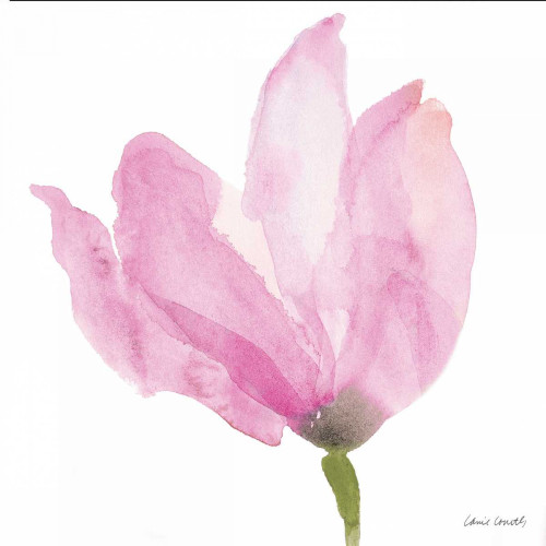 Floral Sway Pink II Poster Print by Lanie Loreth - Item # VARPDX11087G