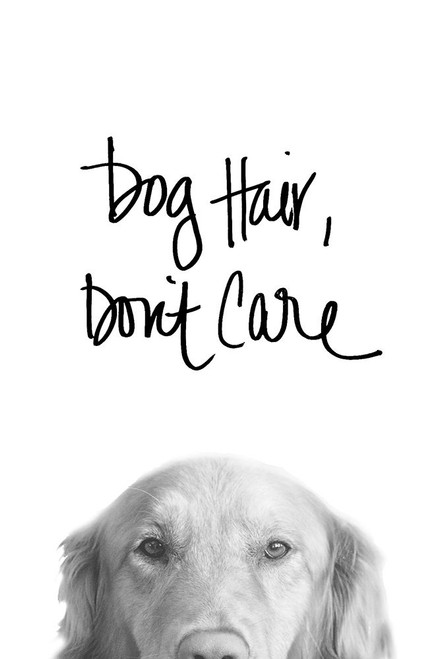Dog Hair Dont Care Poster Print by SD Graphics Studio - Item # VARPDX13052AN