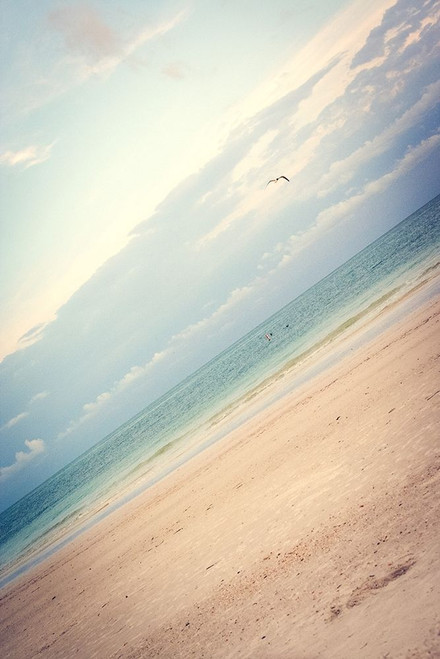 Ocean Angle Poster Print by Emily Navas - Item # VARPDX12310