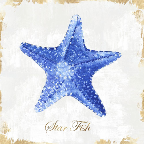 Blue Starfish Poster Print by Eva Watts - Item # VARPDXEW141A