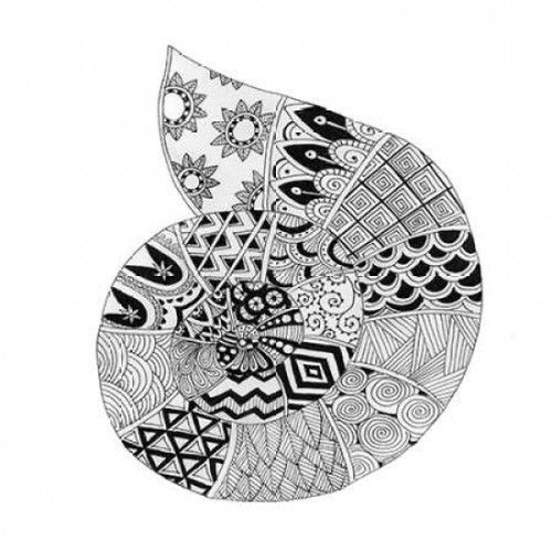 BW Decorated Nautilus Poster Print by Pam Varacek - Item # VARPDXPVSQ014Q