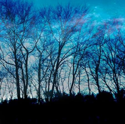 Blue Mountain 1 Poster Print by Sheldon Lewis - Item # VARPDXSLBSQ096B1